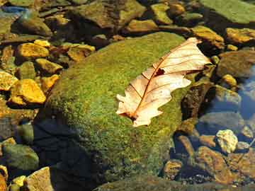 江城哈尼族彝族自治縣初中領(lǐng)導(dǎo)團(tuán)隊(duì)引領(lǐng)教育改革與發(fā)展新篇章