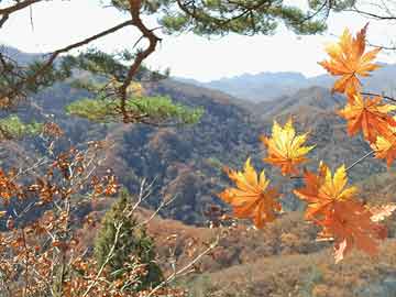 豐南區(qū)防疫檢疫站未來發(fā)展規(guī)劃展望