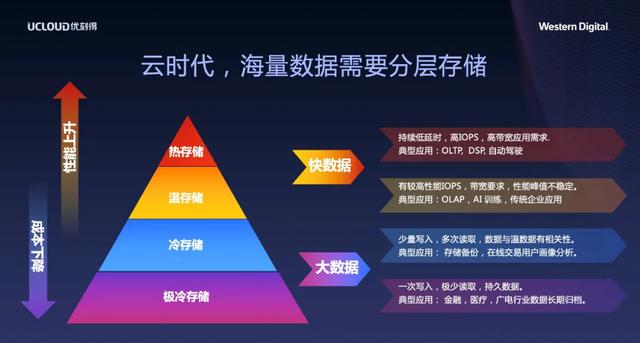 2024最近爆發(fā)的病毒,數(shù)據(jù)驅(qū)動分析決策方案_戰(zhàn)斗版 35.546 