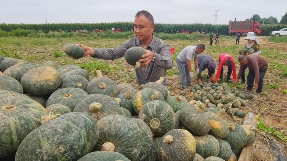 首車鎮(zhèn)最新交通新聞