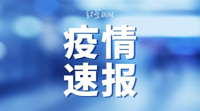 澳門開獎結果開獎記錄表62期,決策資料解析說明報告_精英版 13.647 