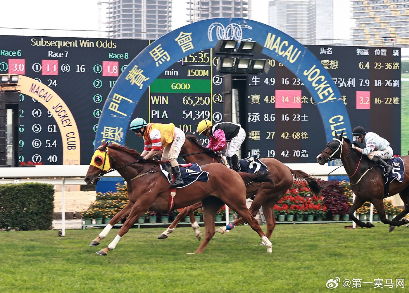 看香港正版精準(zhǔn)特馬資料,全面數(shù)據(jù)解析執(zhí)行規(guī)劃_特別款 23.463 