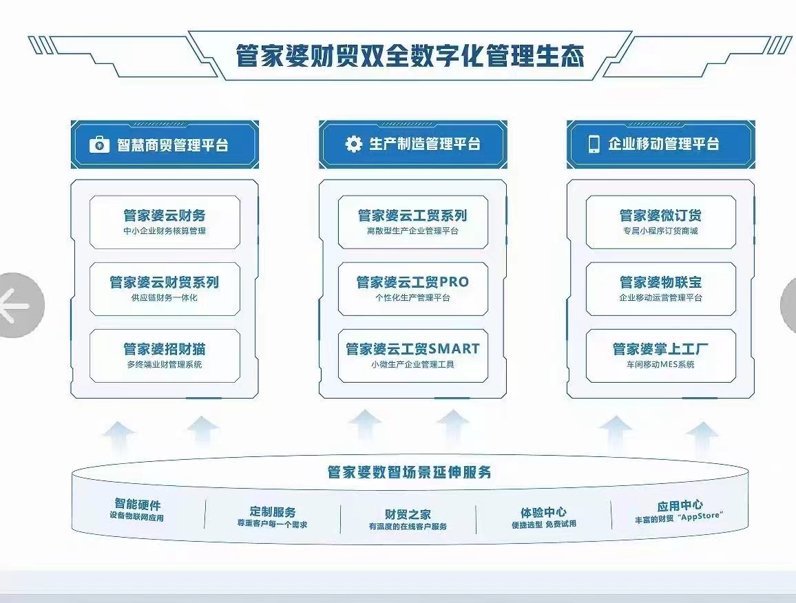 2024管家婆精準免費治療,精細分析解釋定義說明_p 31.397 