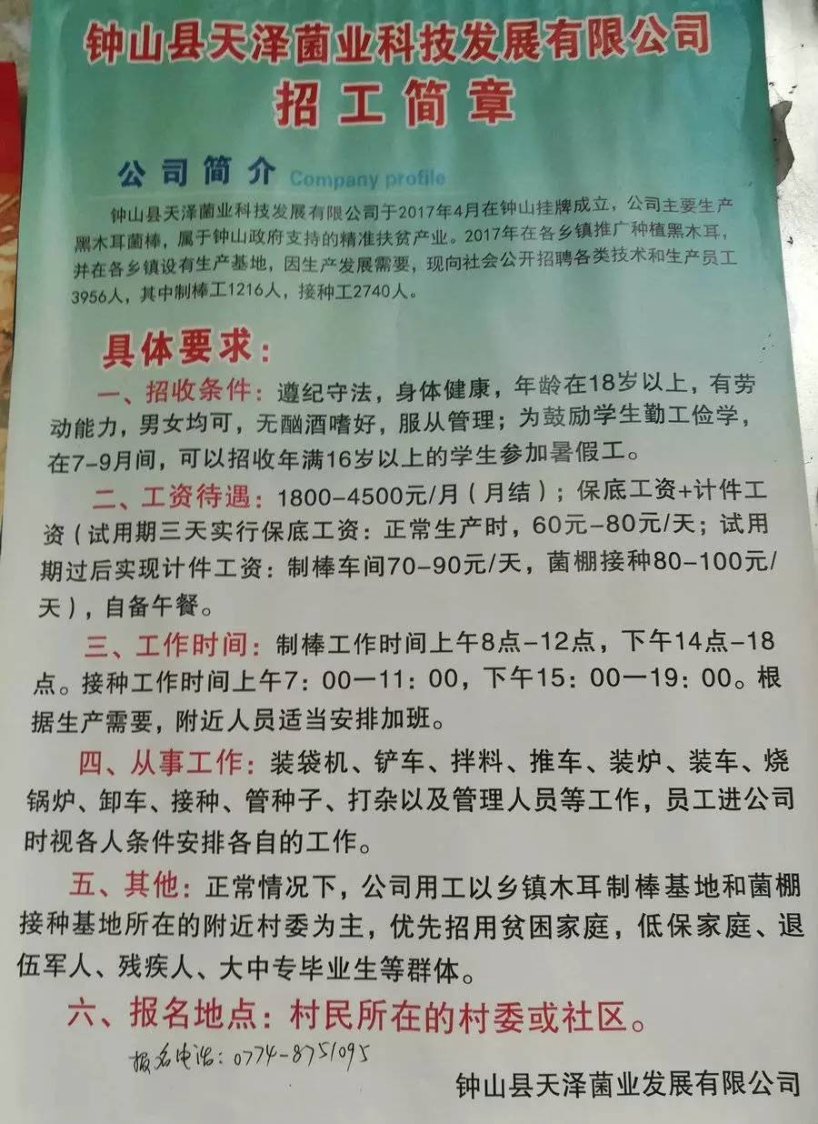 丈中村最新招聘信息