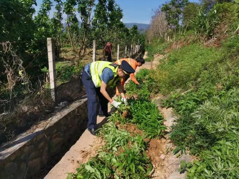 紅灣村民委員會(huì)最新交通新聞