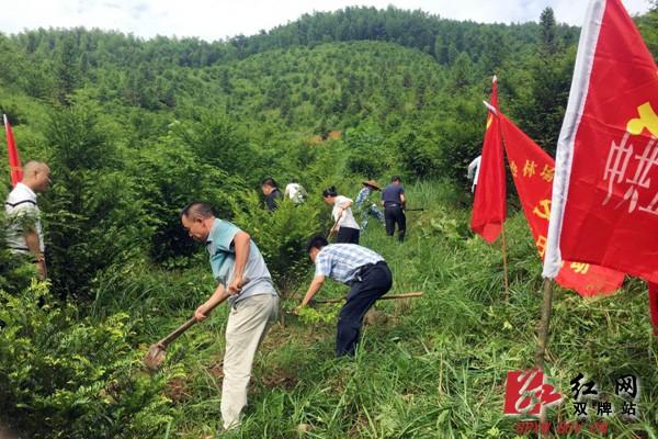 雙牌五星嶺林場(chǎng)最新項(xiàng)目