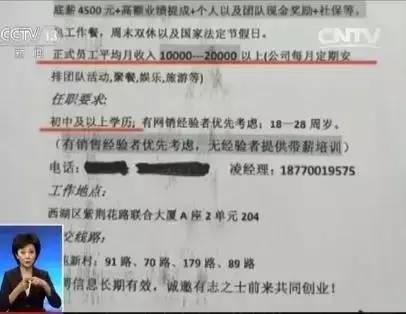 金口河區(qū)初中最新招聘信息