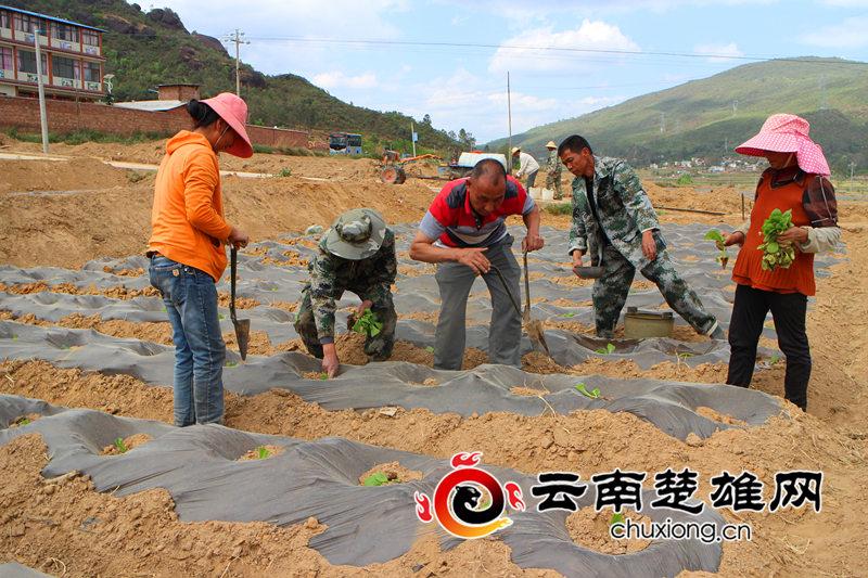 十二墩村委會最新動態(tài)報道