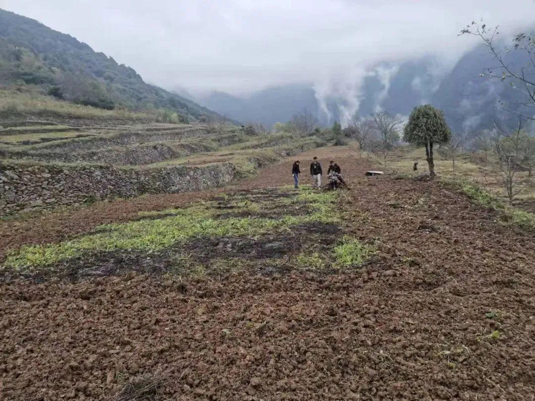 大水溝村委會最新招聘信息匯總